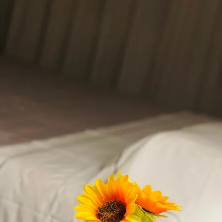 La Bella Giardini * Modena