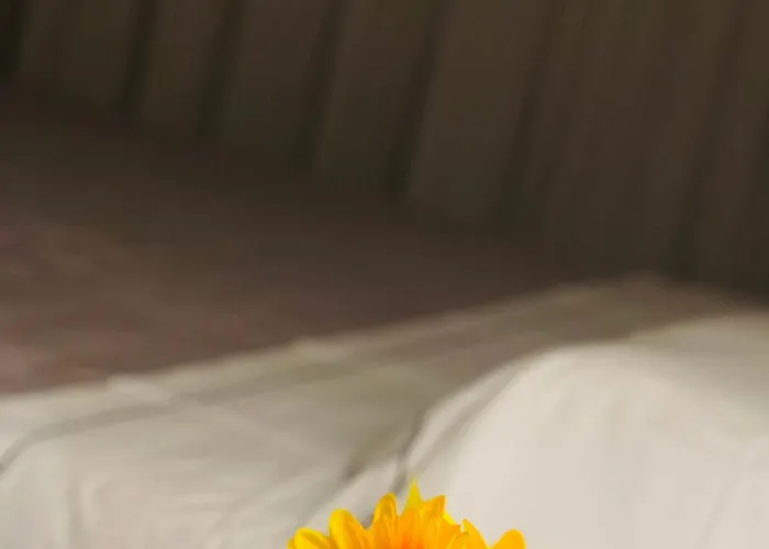 La Bella Giardini * モデナ