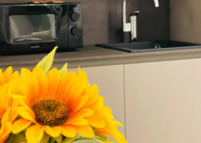 Apartament La Bella Giardini Modena