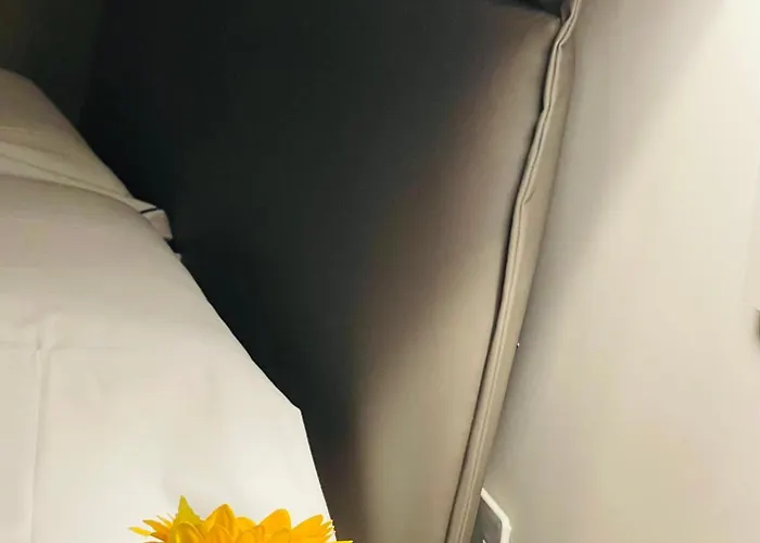 La Bella Giardini * Modena